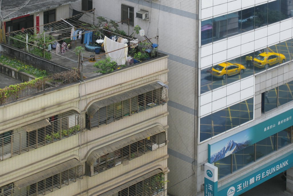 Roof Garden_Taiwan Taipei.JPG